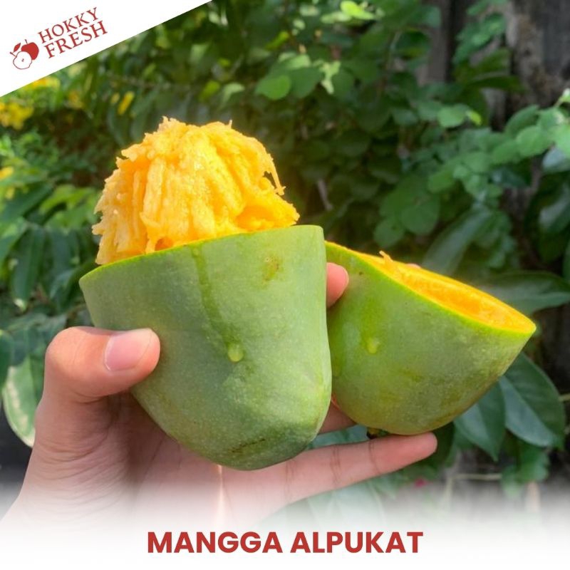

Mangga Alpukat / Kg