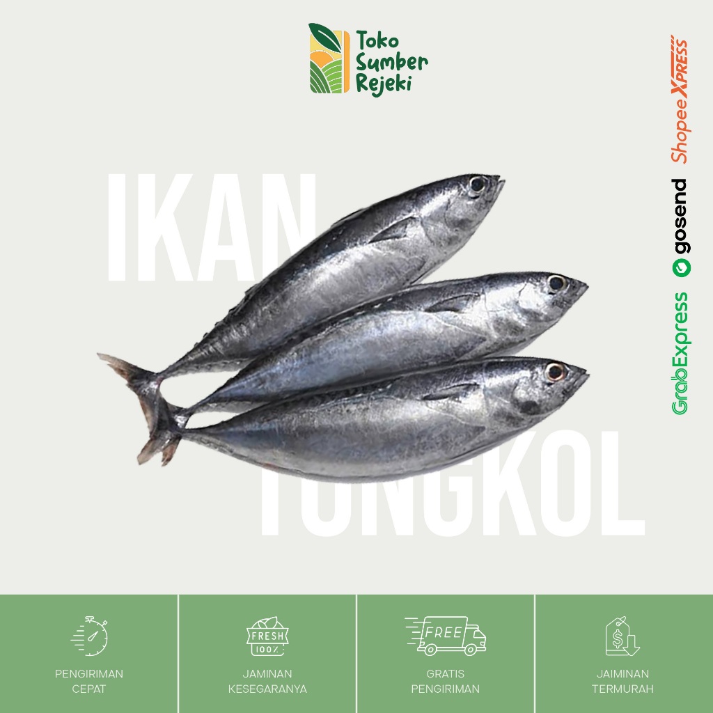 

Ikan Tongkol Segar - Toko Sumber Rejeki Yogyakarta