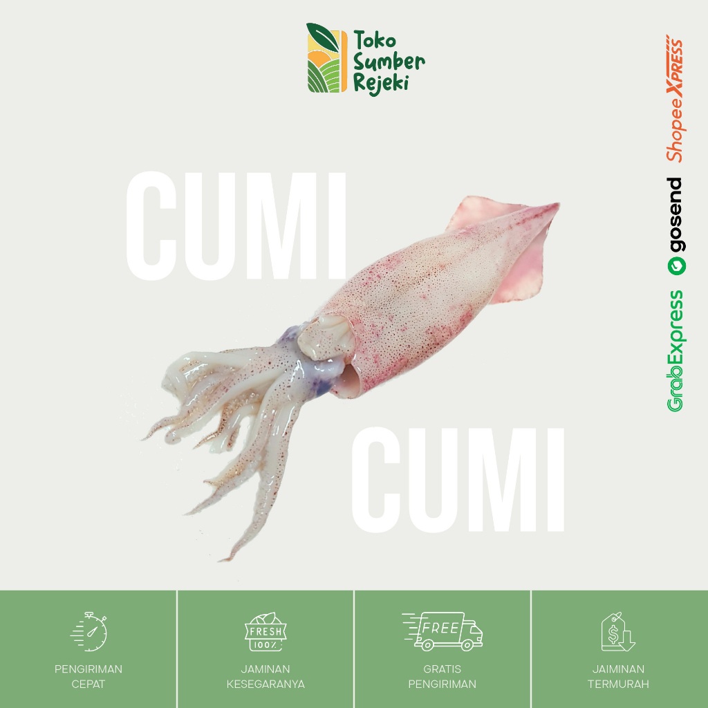 

Cumi Cumi Segar - Toko Sumber Rejeki Yogyakarta