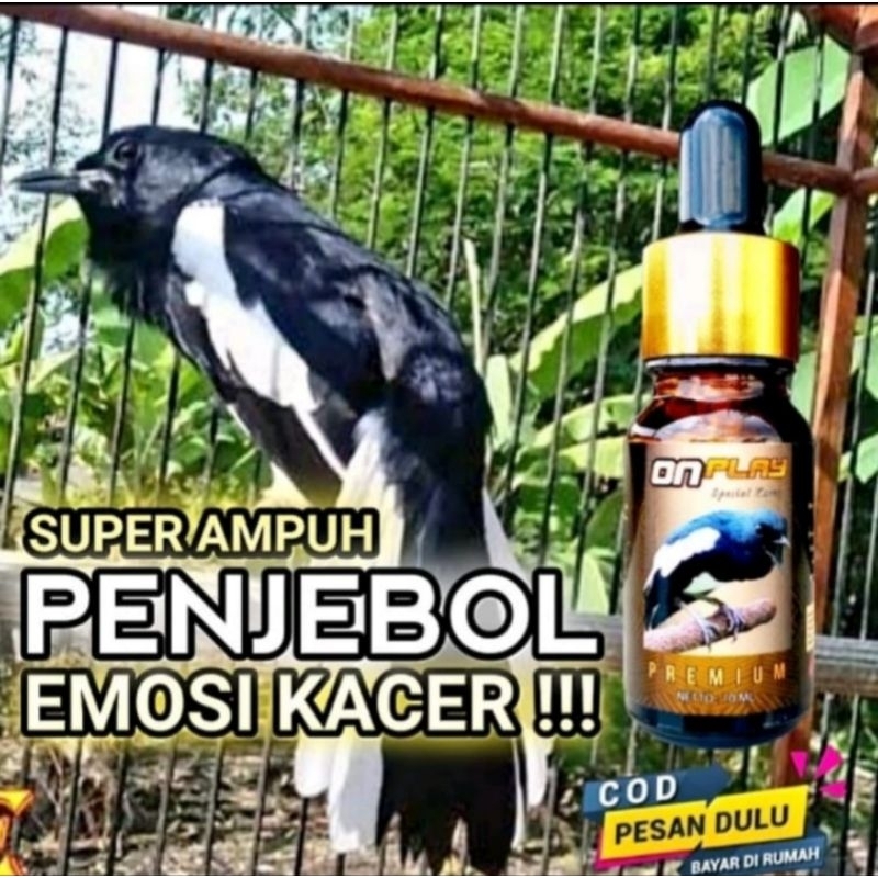 on play premium RG raja goyang kacer onplay ngobra ngeplay gacor