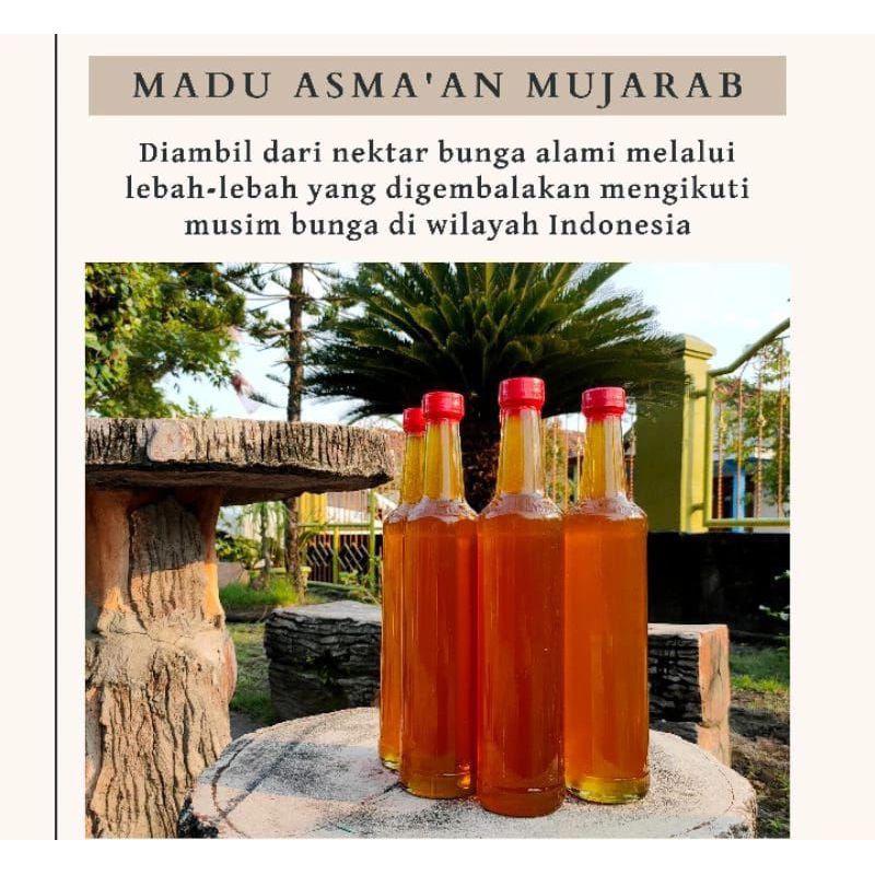

MADU ASMA'AN MUJARAB MADU DARI LEBAH MELLYFERA