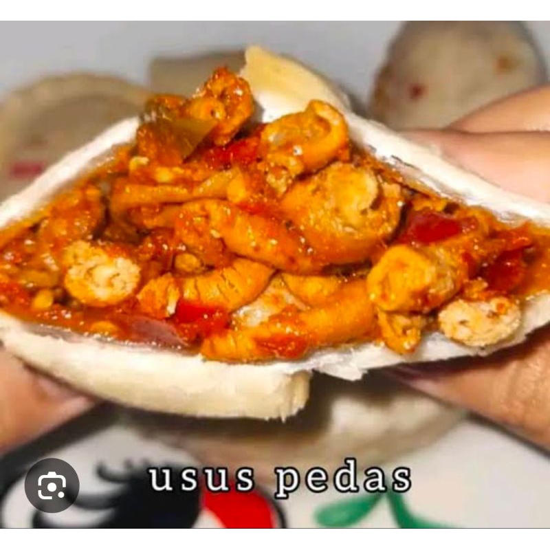 

cireng isi usus pedas isi 4