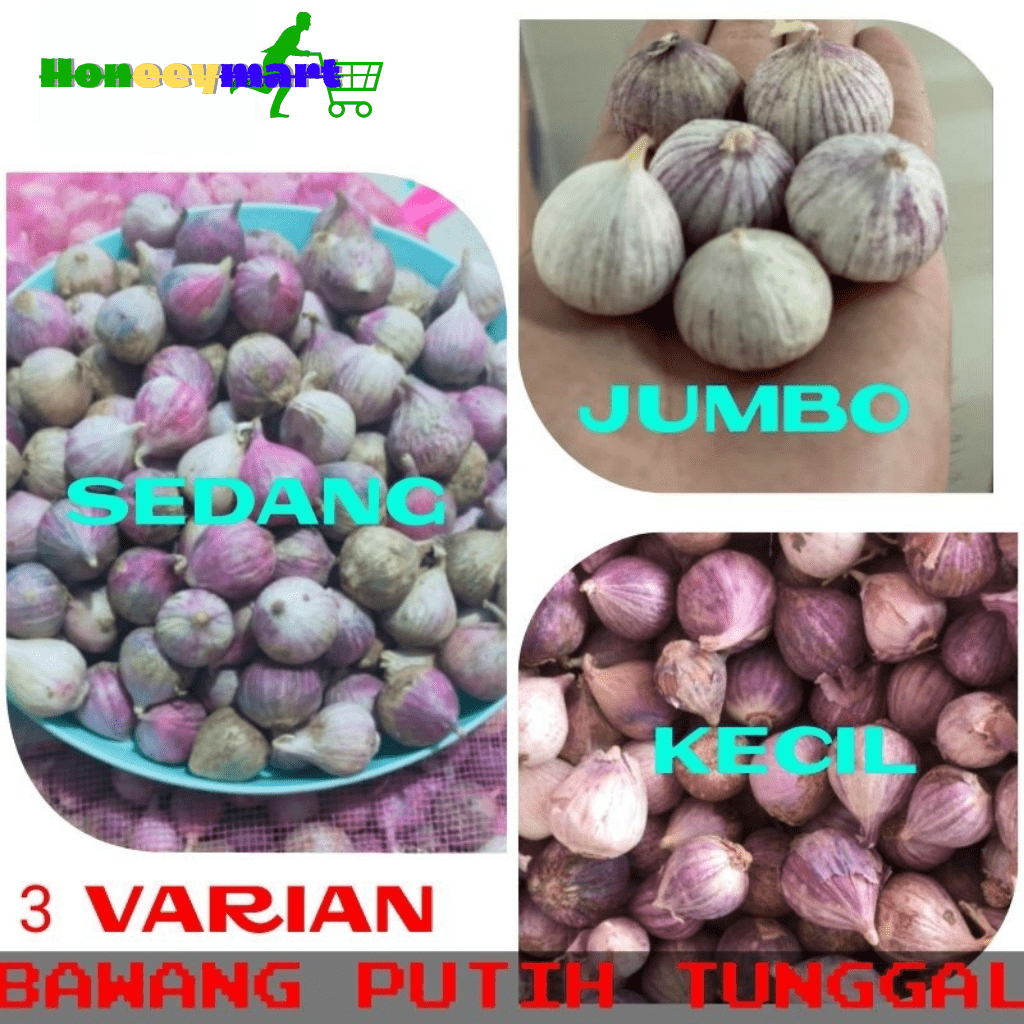 Bawang putih tunggal 1kg / bawang lanang tunggal 1kg