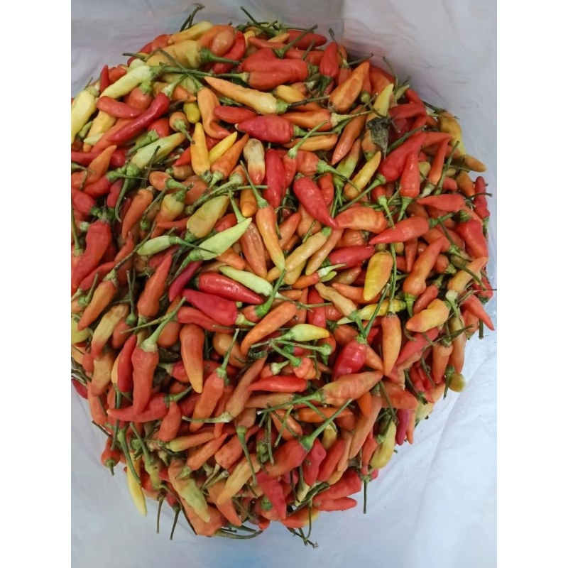

Cabai cabe merah 250gram