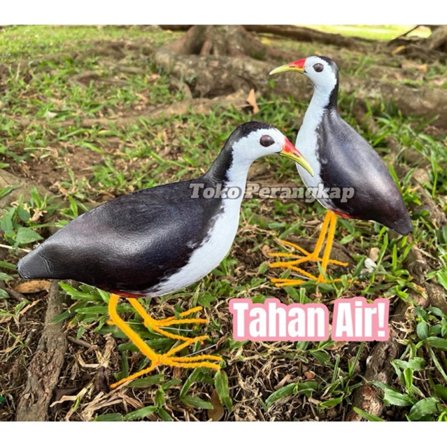 Decoy jontrot ruak ruak sawah - ruakruak