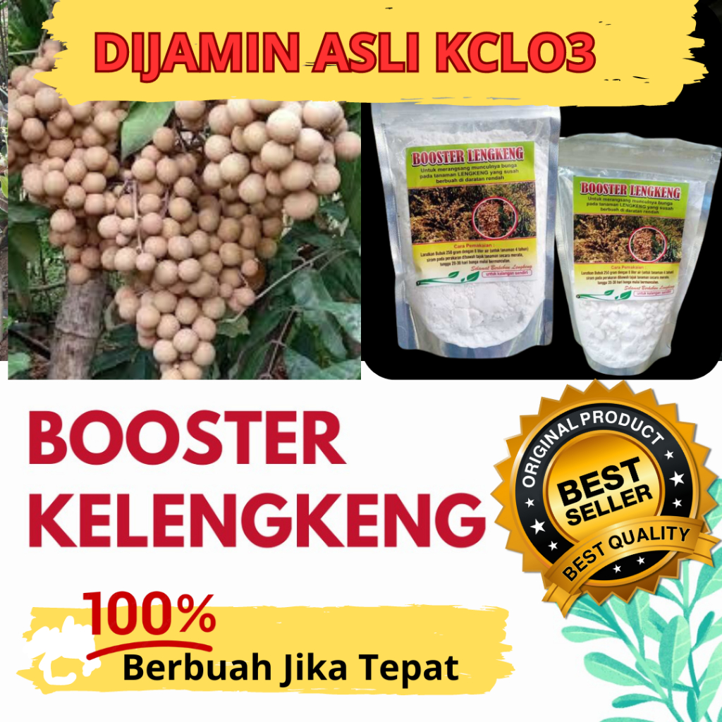 GARANSI ASLI.. Booster Kelengkeng Kclo3 ASLI, Pupuk Booster Kelengkeng