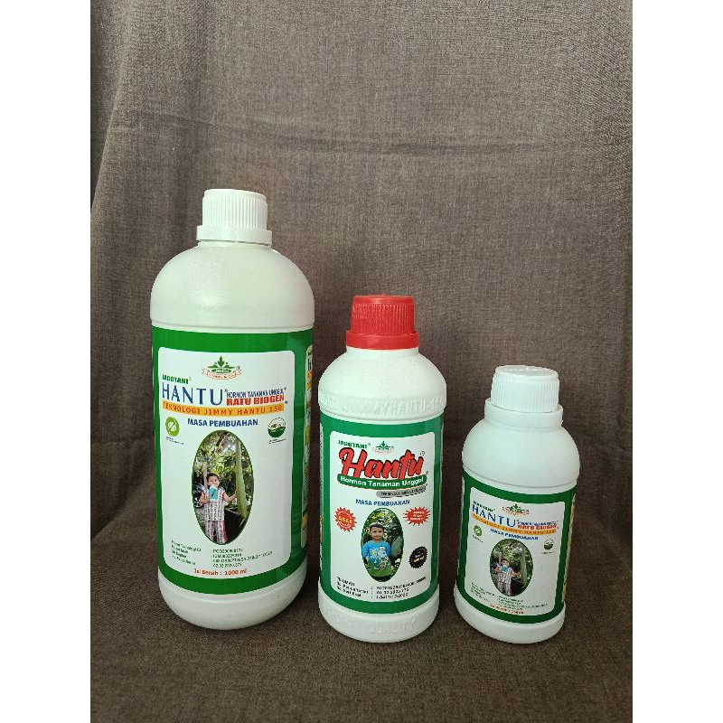 Hormon JIMMY HANTU Masa Pembuahan