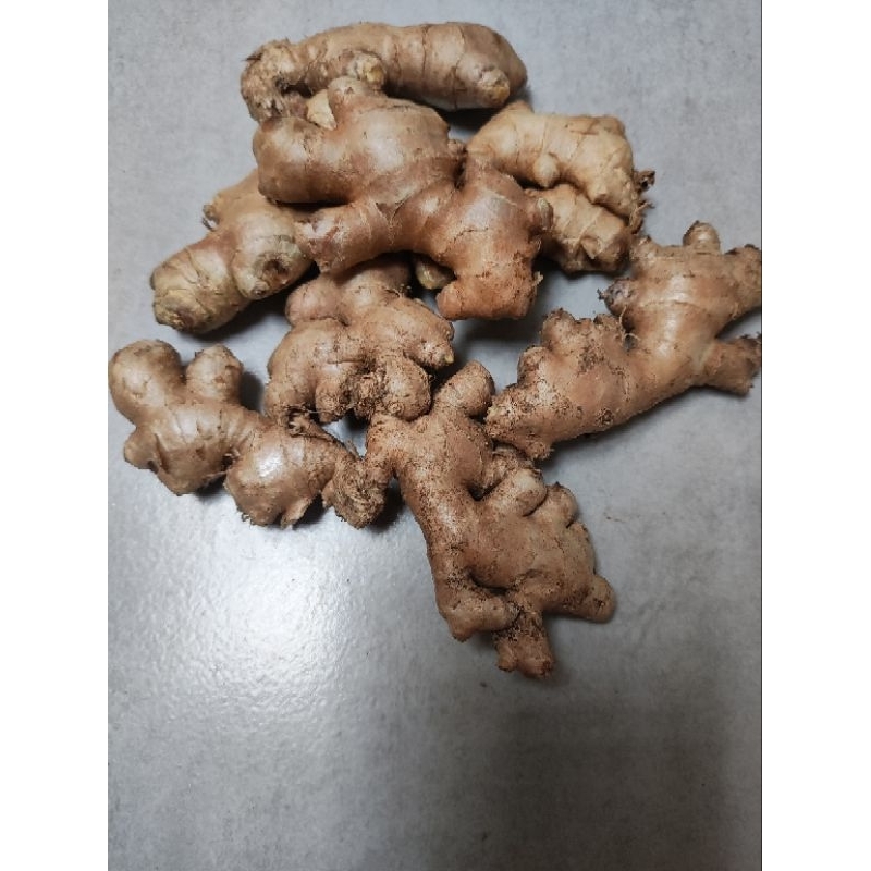 

Jahe Gajah Washed Sudah Cuci 1kg