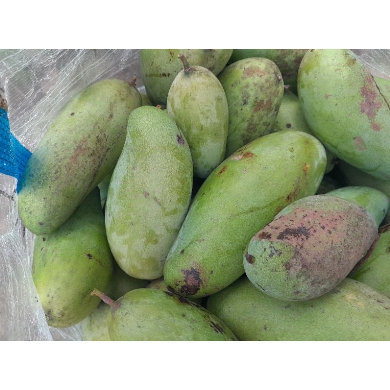 

Mangga Golek 1kg