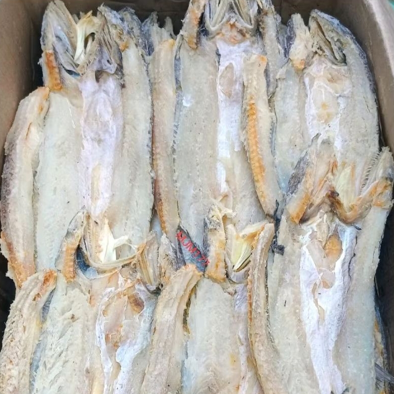 

ikan asin bloso 1kg ikan asin jenggalak ikan asin gabus Special superan