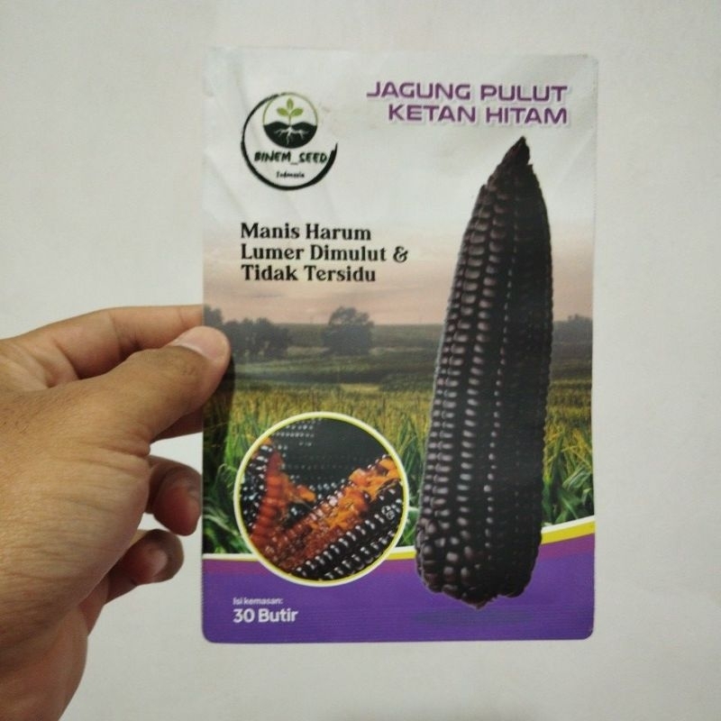 BENIH JAGUNG PULUT KETAN HITAM KEMASAN PREMIUM