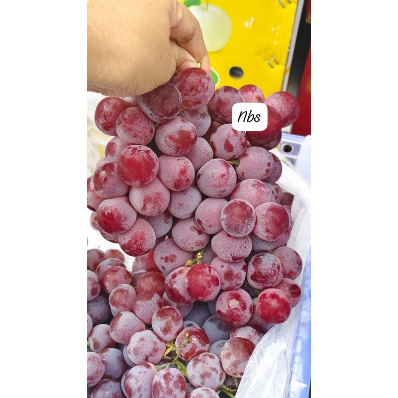 

anggur red globe krat