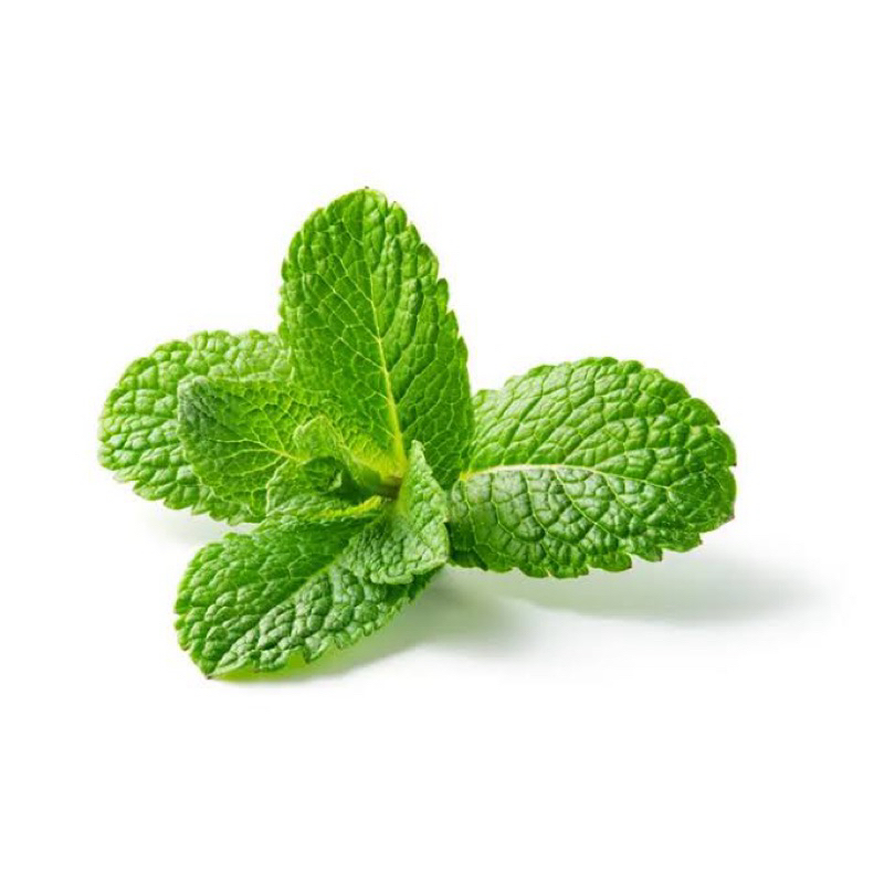 

daun mint 50gram