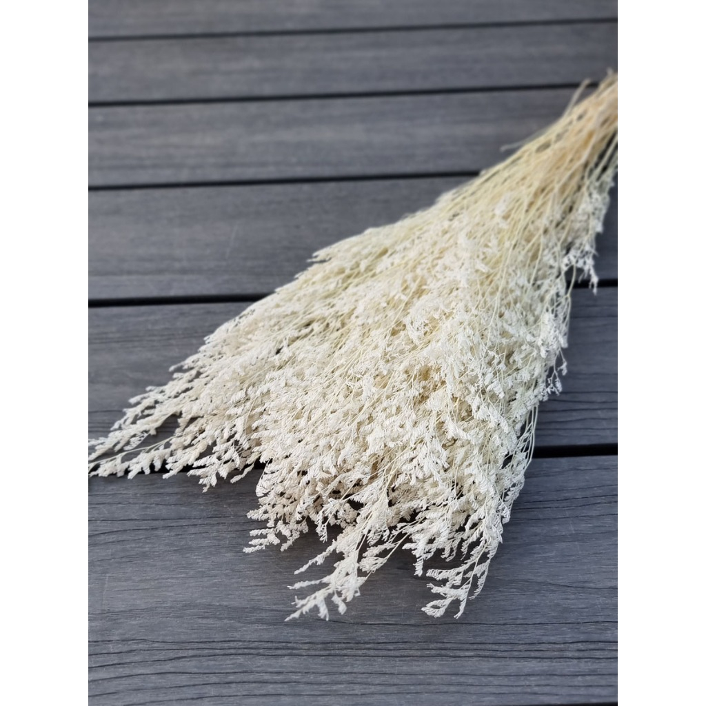 25GRAM CASPEA BLEACHING PRESERVED WHITE | CASPEA BLEACHING WHITE | DRIED FLOWER AWETAN