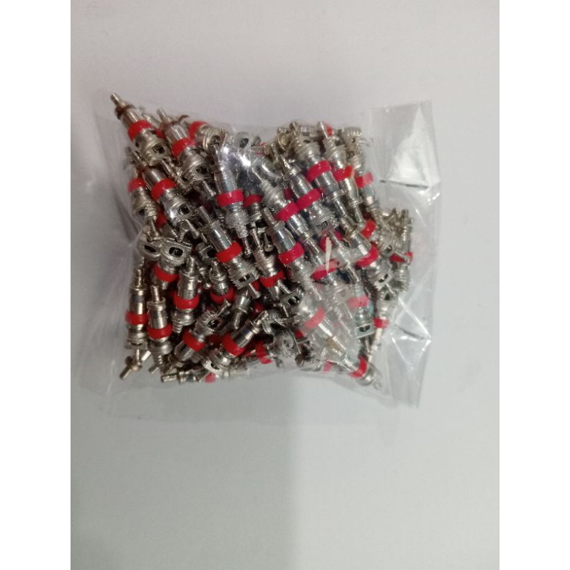 Isi pentil spuyer pentil motor mobil