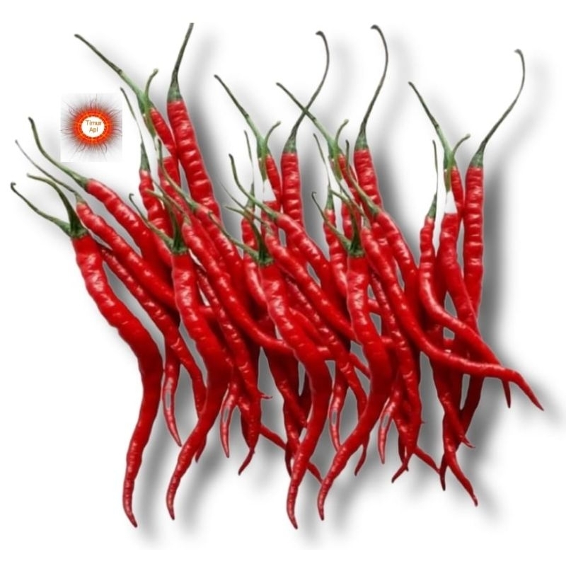 

Cabe / Cabai keriting fresh 1kg