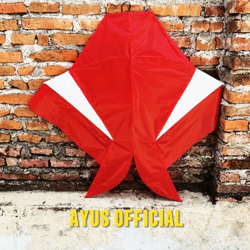 Layangan Cotek Blolong Semi knockdown 30 ribuan paling laris