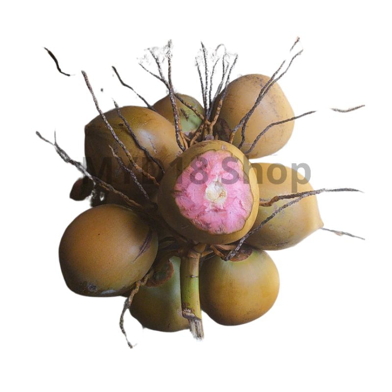 

KELAPA HIJAU / KELAPA MERAH / ORIGINAL