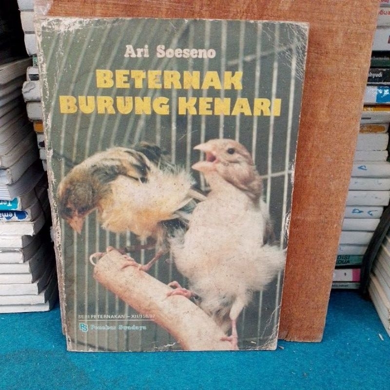 beternak burung kenari