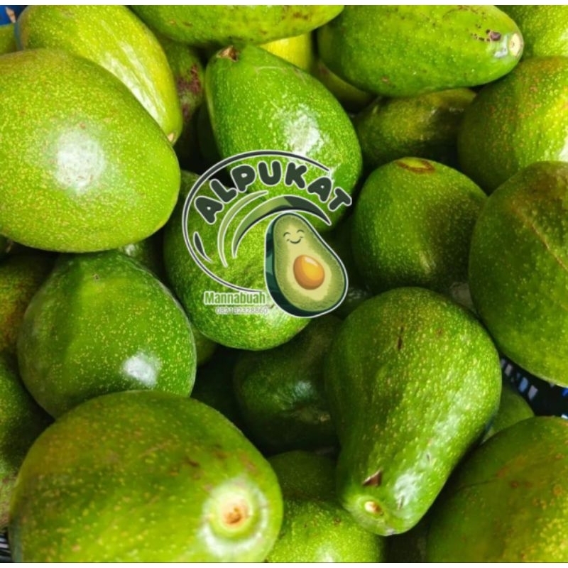 

mannabuah/Alpukat mentega 1kg
