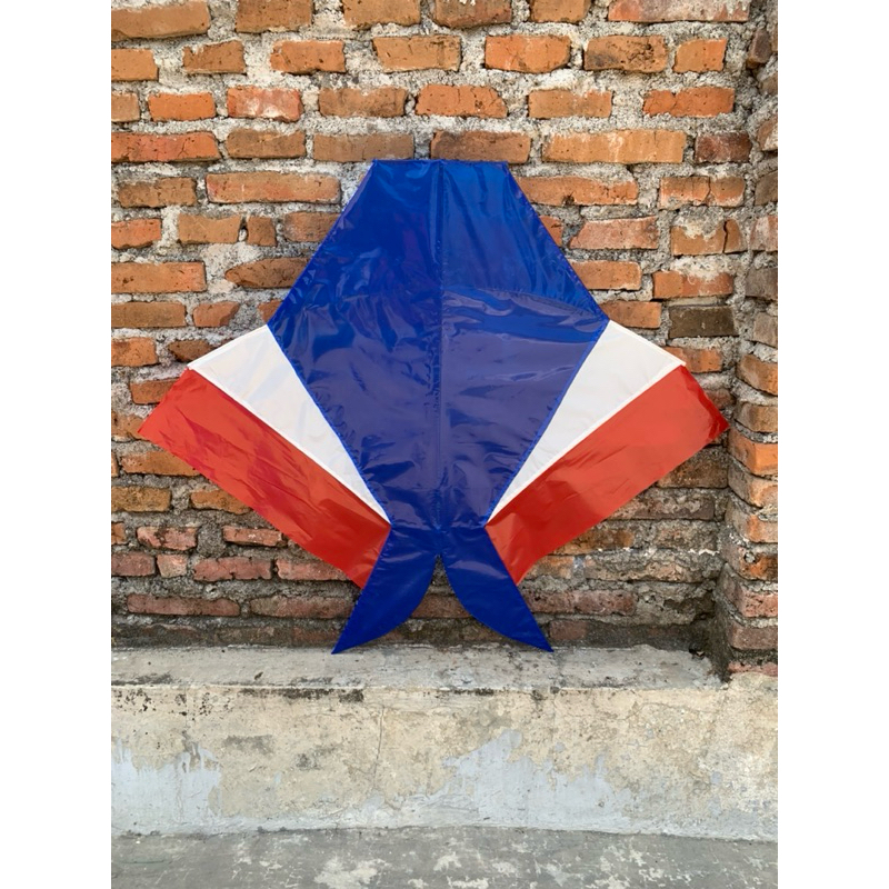 layangan cotek