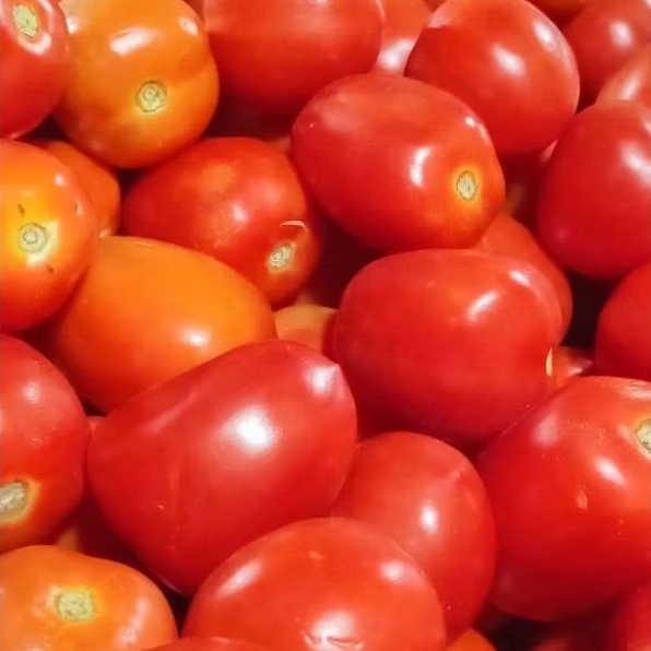 

Tomat Segar | Per 500 gram