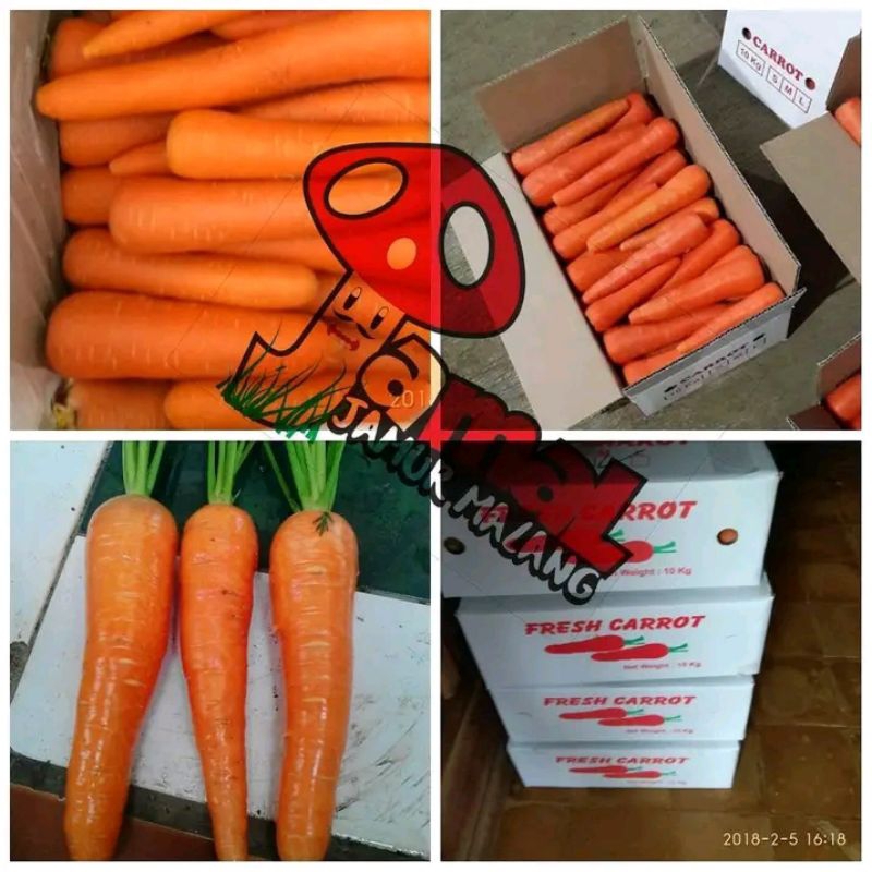 

wortel berastagi dieng harga per 1kg