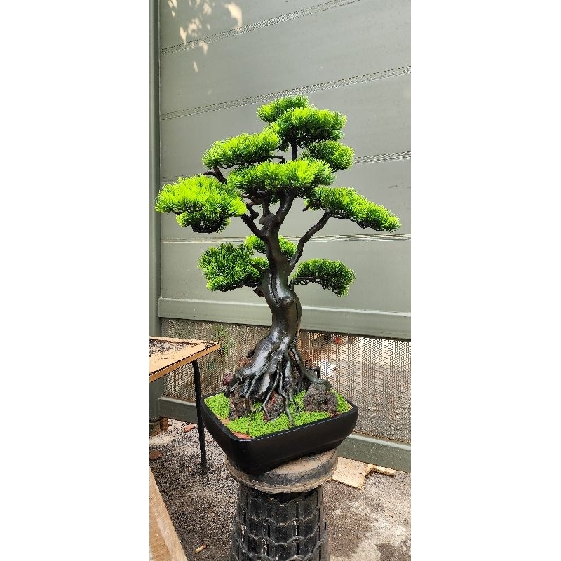 Artificial Bonsai Cemara