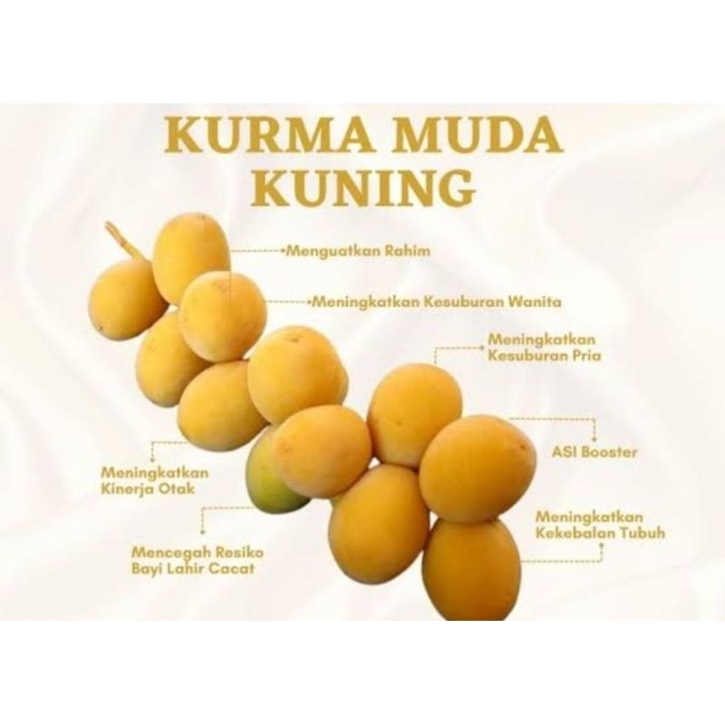 

Kurma Muda Kuning