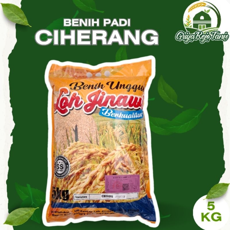 

Benih Padi CIHERANG - LOHJINAWI PREMIUM