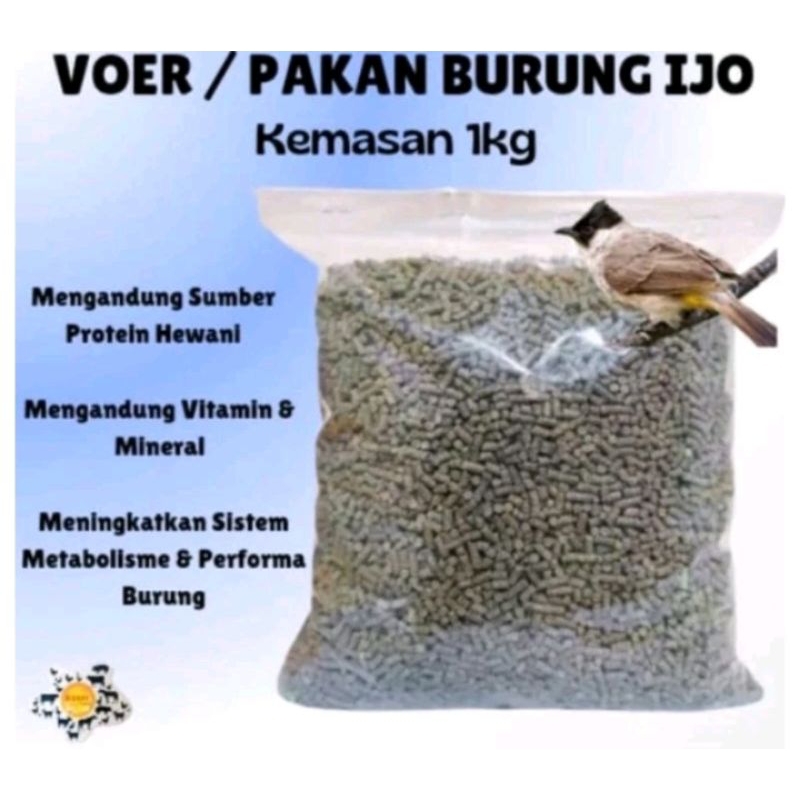 Pakan Pur Burung Hemat Murah Voer Nutrisi Baik