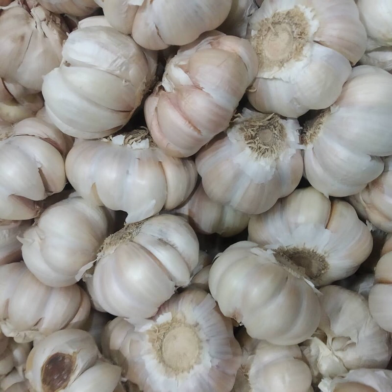 

Bawang Putih Honan 1kg Fresh!