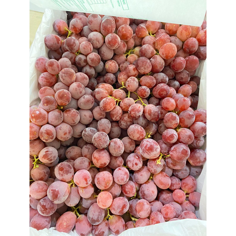 

anggur merah import per 500gr buah anggur