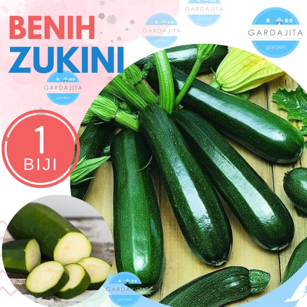 Benih ZUCCHINI Zukini Cherub Biji Bibit Sayur
