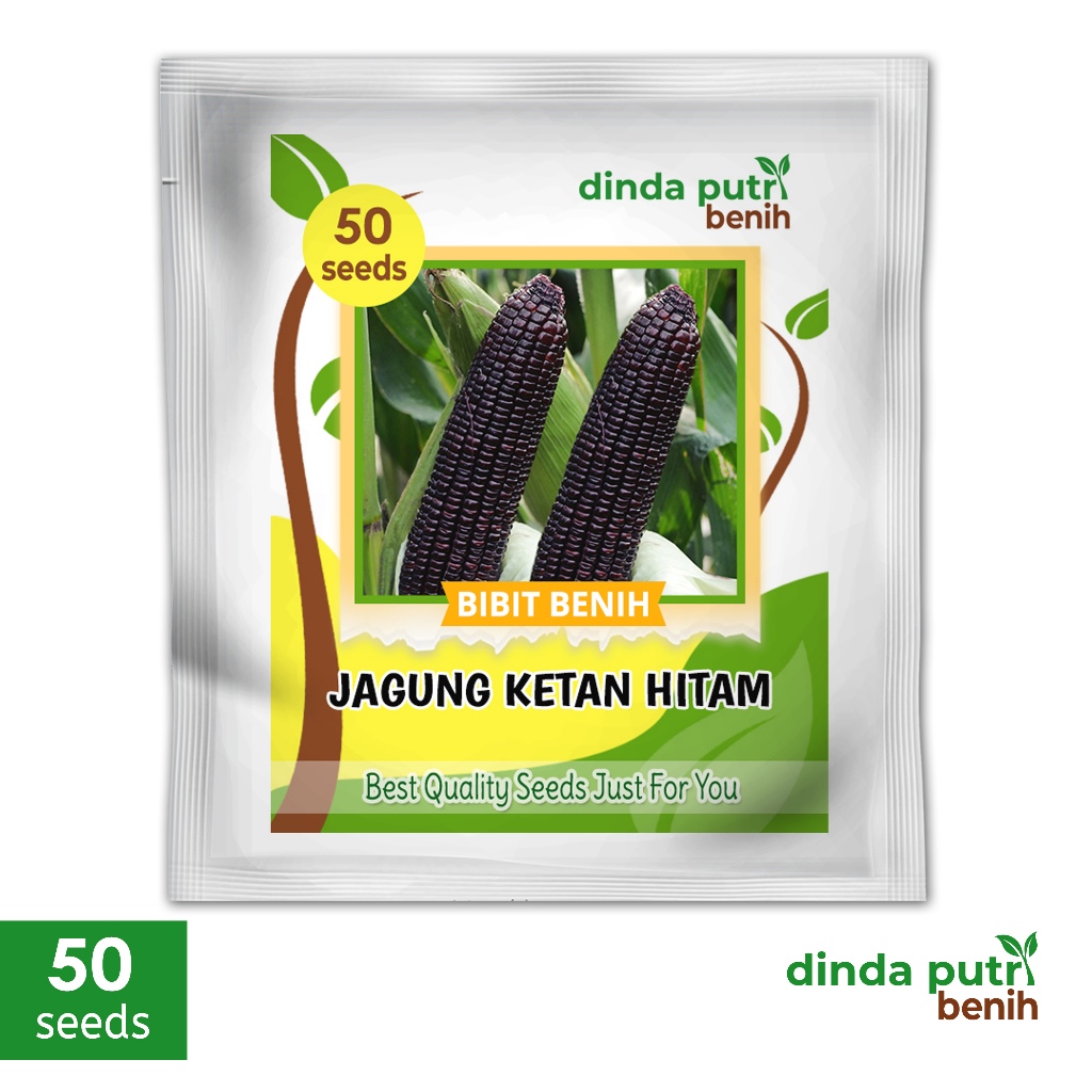 50 biji Benih Jagung Ketan Hitam kemasan ekonomis benih jagung pulut ketan hitam