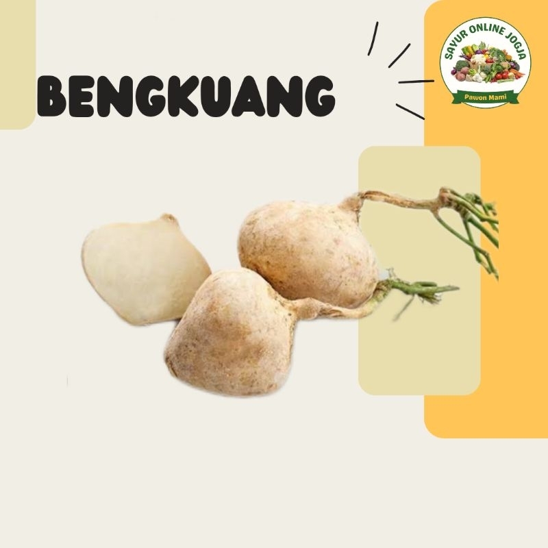 

Bengkuang 650-800gr - PAWON MAMI SAYUR ONLINE JOGJA
