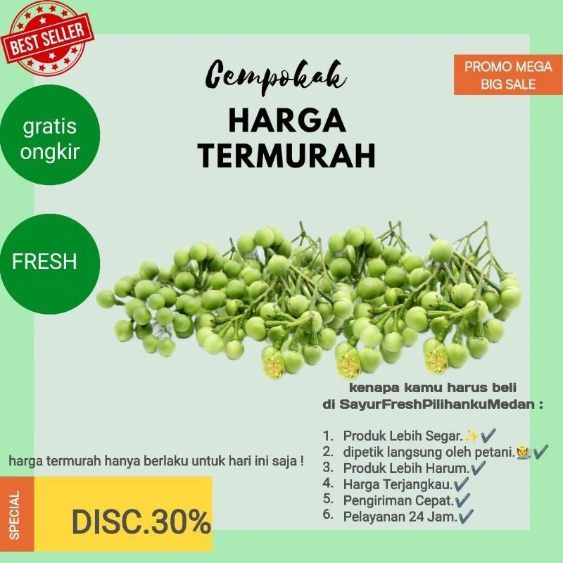 

cempokak/ rimbang Brastagi dipanen langsung oleh petani Karo| siap kirim