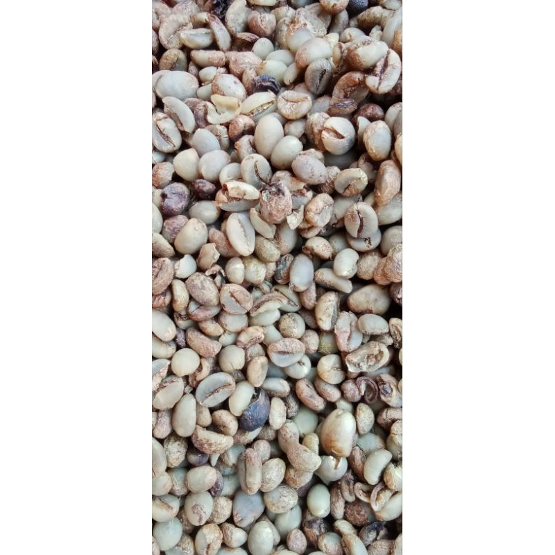 kopi biji asli lampung.original  1000gr kopi Lampung 1kg