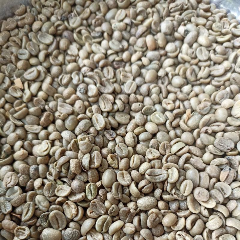 

Biji Kopi Arabika Unsorted Fullwash Proses Grade 2