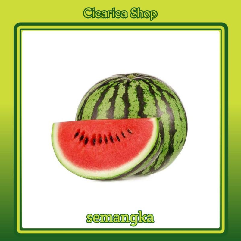 

Buah Semangka perbuah