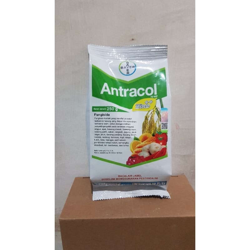 fungisida antracol 250 gram
