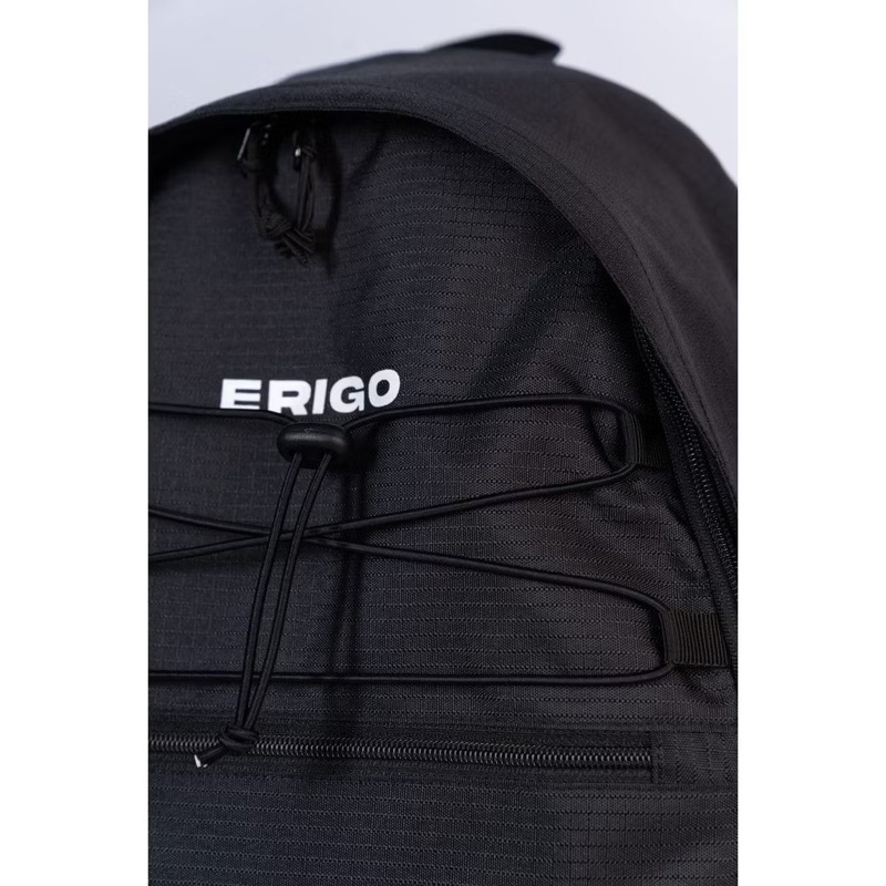 Tas erigo