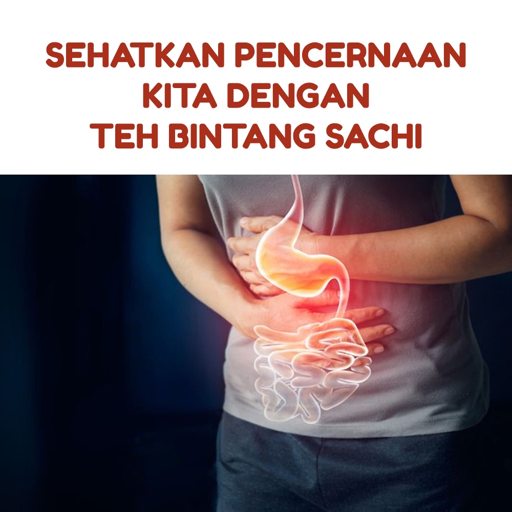 

Jual Minuman Herbal Pelancar Pencernaan Teh Bintang Sachi