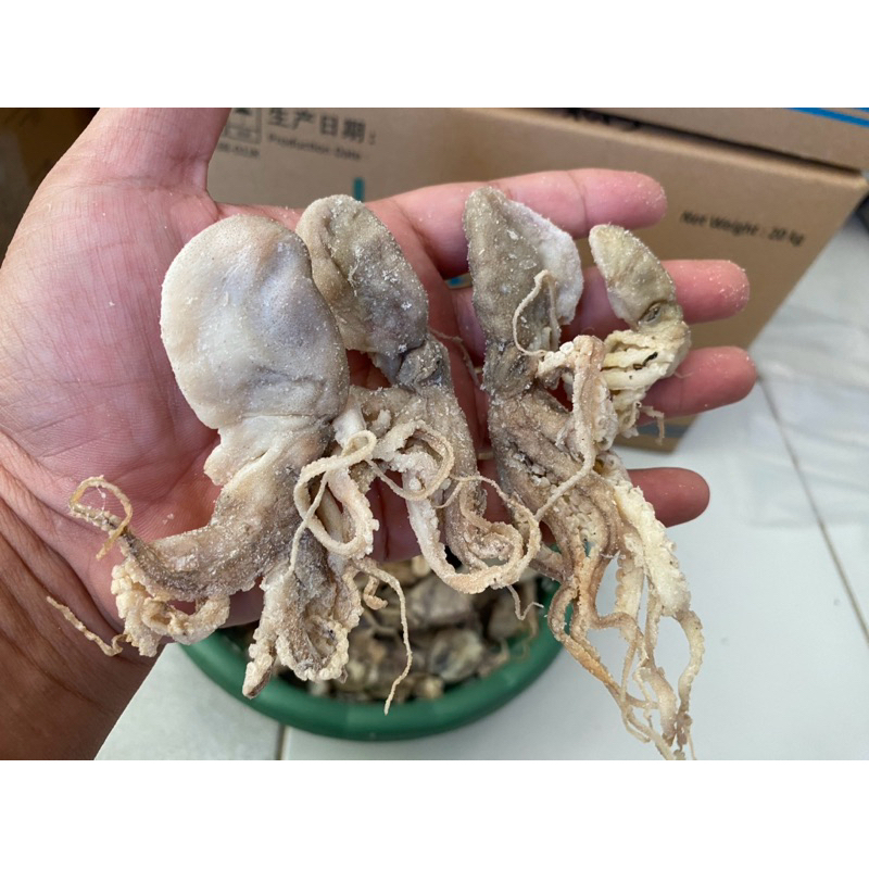 

CUMI-CUMI & GURITA 1.Kg kenyal uuenak murahh poll✔️