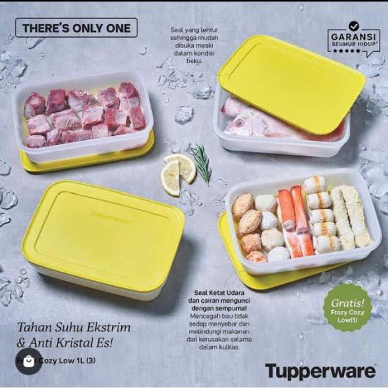 Frozy Cozy Low Tupperware