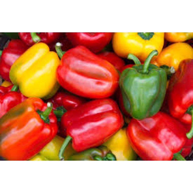 

paprika merah 500grm
