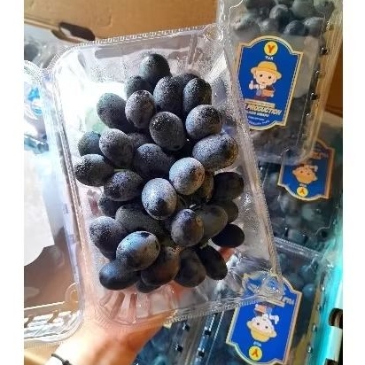 

Anggur Autum manis fresh 500gr