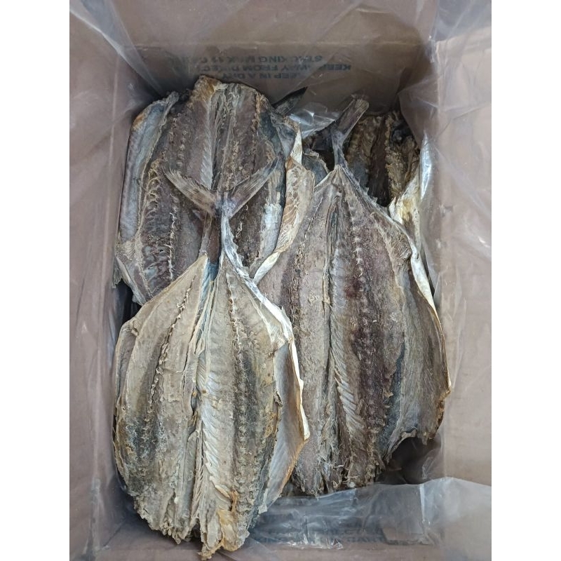 

GROSIR IKAN ASIN TONGKOL BELAH ISI 10KG KERING BISA UNTUK DIJUAL LAGI