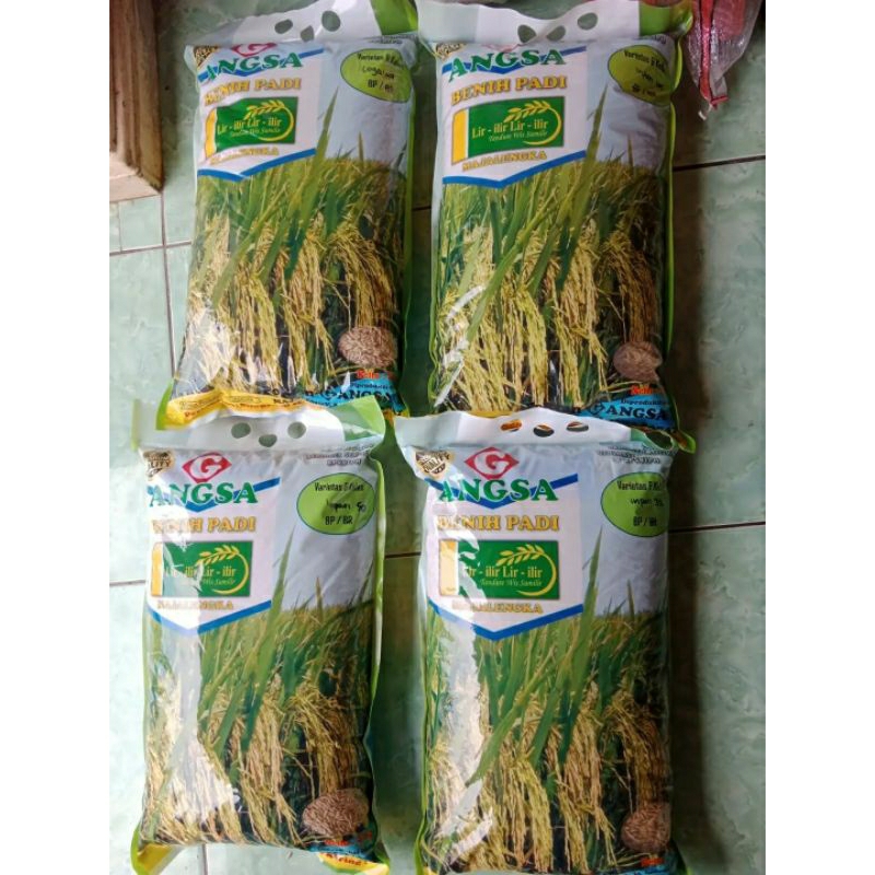 BENIH PADI UNGGUL CAP ANGSA LABEL UNGU LOGAWA ,INPARI 32,INPARI 49,INPARI 50 KEMASAN 5KG