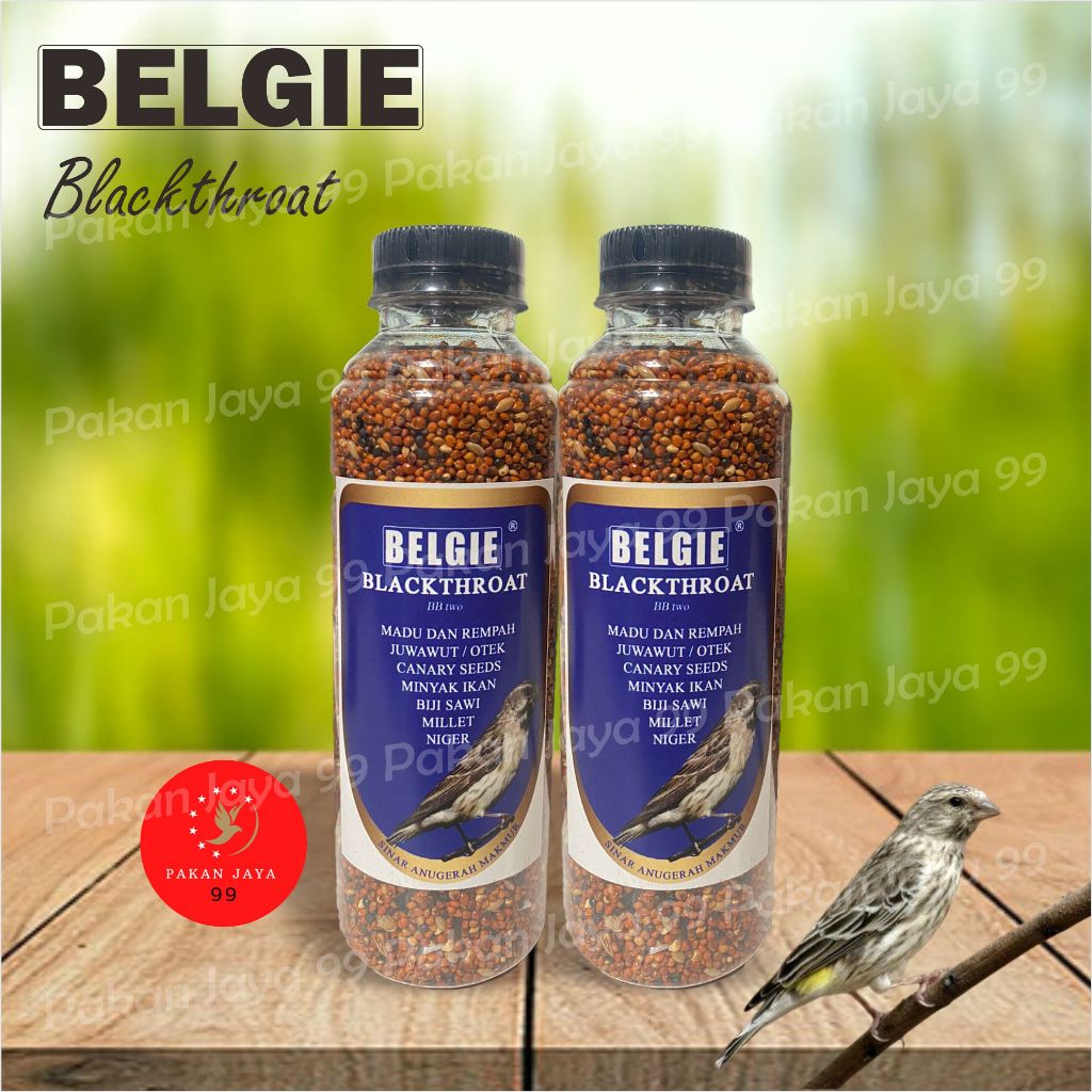 READY BELGIE BLACKTHROUT PAKAN MAKANAN BURUNG BLACKTRHOAT BT FINCH PIPIT GLATIK BELONG EMPRIT
